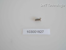 MSPF26060NIGP  Set Screw 2.6x6